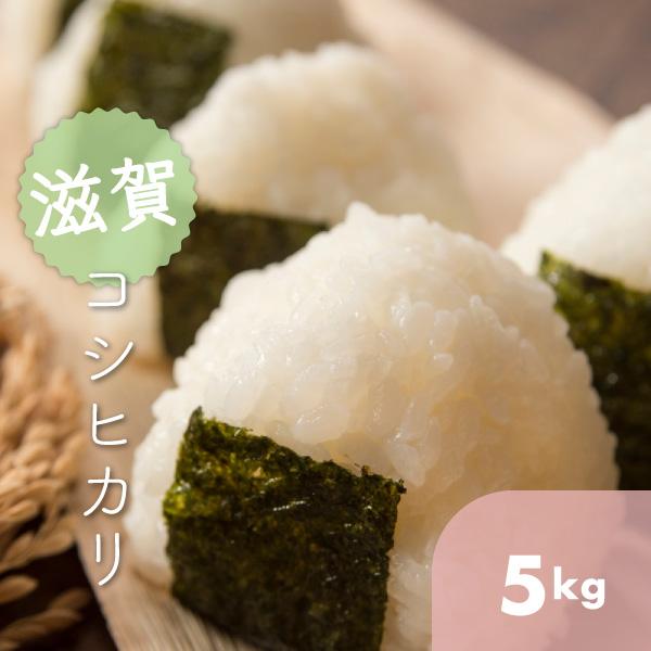 滋賀県　特別栽培米　環境こだわり米 こしひかり　令和5年産　 5k