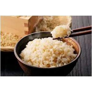 コシヒカリ 玄米 30kg 令和7年産 三重県産 こしひかり 米 コメ お米 30