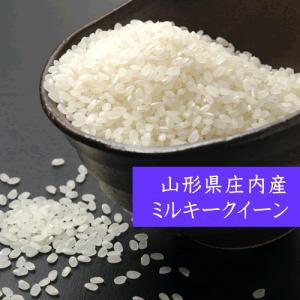 お米 ミルキークイーン 10kg 5kg×2 白米 山形県庄内産 令和5年産