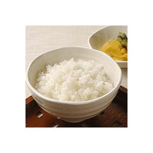 ササニシキ 10kg 白米 山形県庄内産 箱入 令和7年産新米