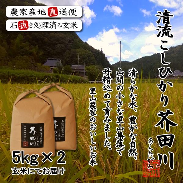 令和7年産 新米 米 お米 5kg×2 10kg 送料無料 玄米にて 奥播州源流芥田川産こしひかり芥...