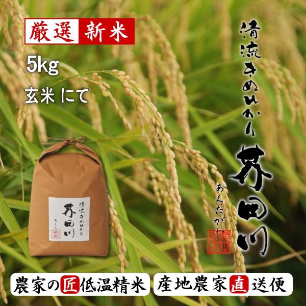 令和7年産 新米 お米 5kg 送料無料 玄米にて 清流きぬひかり芥田川 農家直送便 石抜処理済 贈...