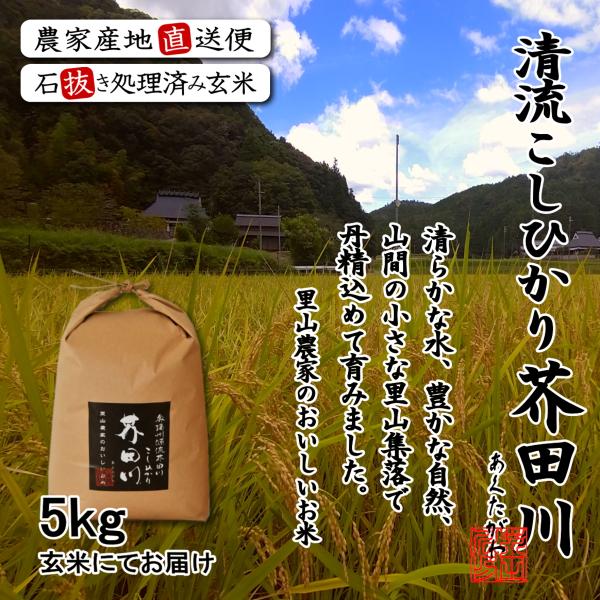 令和7年産 新米 米 お米 5kg 送料無料 玄米にて 奥播州源流芥田川産こしひかり芥田川 石抜き処...