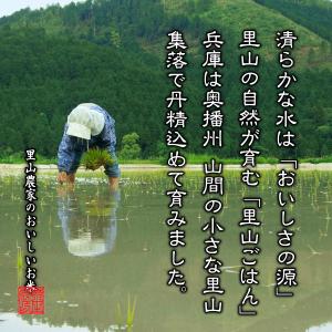 【令和8年産 新米予約】米 お米 5kg 送料...の詳細画像1
