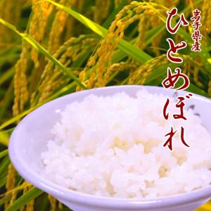 令和7年産 ひのひかり 伊佐米 5kg 単一原料米 九州 ヒノヒカリ 鹿児島