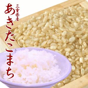 元気つくし [ 玄米 ] [ 950g ] 令和7年産 福岡県産 ポイント消化 農家