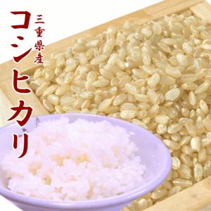 あいちのかおり 業務用 令和7年産 愛知県産あいちのかおり 15kg 白米