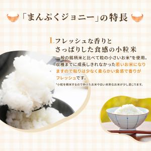 米5kg 送料無 安い 白米 5kg 国産 ブ...の詳細画像3