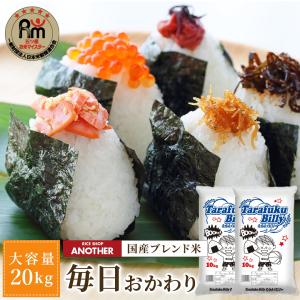 白米 ブレンド米 20kg たらふくビリー 送料無料 訳あり 国産 10kg ×2袋｜rice-shop-another