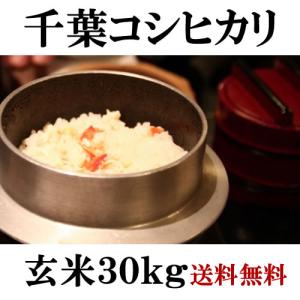 お米 30kg コシヒカリ 千葉県産 令和5年 玄米 白米(27kg)送料無料 無料精米 一等 単一米 検査米