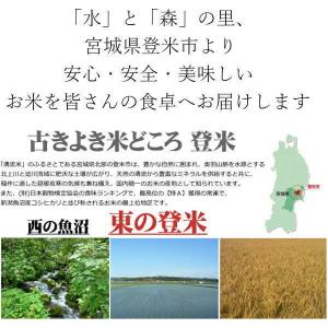 タイムセール 令和7年産 奏と想をイメージした...の詳細画像2