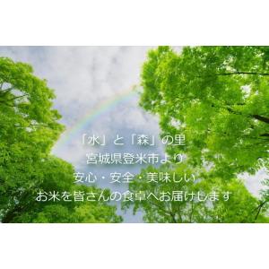 タイムセール 令和7年産 奏と想をイメージした...の詳細画像5
