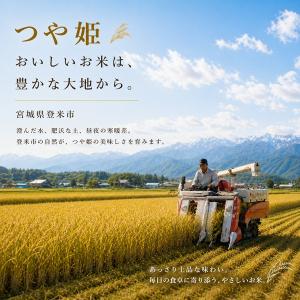 【売り尽くし】 令和7年産 宮城県産 登米産 ...の詳細画像3