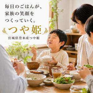 【売り尽くし】 令和7年産 宮城県産 登米産 ...の詳細画像5