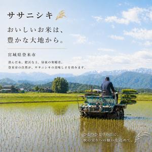 令和7年産 宮城県 登米産 ササニシキ 5kg...の詳細画像2