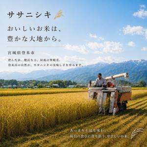 令和7年産 宮城県 登米産 ササニシキ 5kg...の詳細画像3