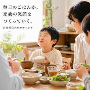 令和7年産 宮城県 登米産 ササニシキ 5kg...の詳細画像5