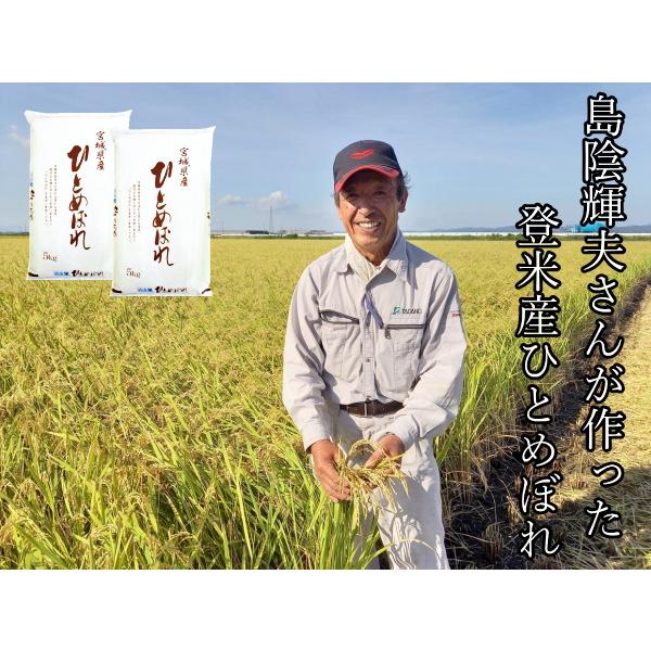 お一人様1個まで！ 生産者限定 令和7年 ひとめぼれ 10kg 無洗米 5kg×2 / 白米 5kg...