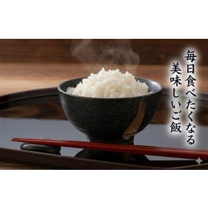 新デザイン 令和6年産 ひとめぼれ10kg (5kg×2) 無洗米 宮城県の雄大な自然 森と海をイメージした オリジナル袋2種 送料無料 沖縄県送料2000円