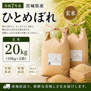 令和7年宮城県登米産ひとめぼれ　玄米30キロ 30kg】令和7年産 宮城県産ひとめぼれ 玄米30kg 【時間指定不可