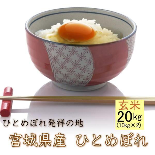 新米 令和7年産 宮城県 登米産 ひとめぼれ 玄米 20kg (10kg×2袋) ・未調整玄米 検査...