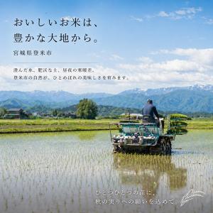 売り尽くしセール 令和7年産 宮城県産 登米産...の詳細画像2