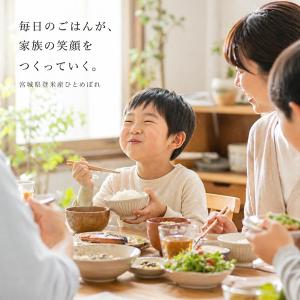 売り尽くしセール! 令和7年産 宮城県 登米産...の詳細画像5