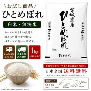 はえぬき 【送料無料お試し米】令和7年産 山形県産 白米1kg 日時指定