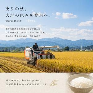 爆買 令和7年産 お試し 1kg 宮城県登米産...の詳細画像3
