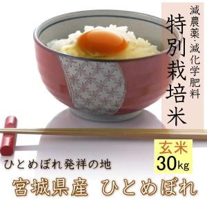 令和5年産 宮城県 登米産 【特別栽培米】 玄米 30kg ひとめぼれ 宮城県認証 1等米 ※沖縄県...