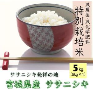 お試し限定特価】令和7年 食べ比べ ひとめぼれ ササニシキ つや姫