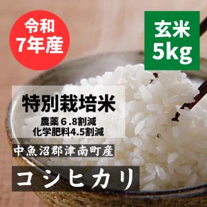 コシヒカリ 米 10kg 魚沼産 一等米 新米 白米（2025年 令和7年） : 酒
