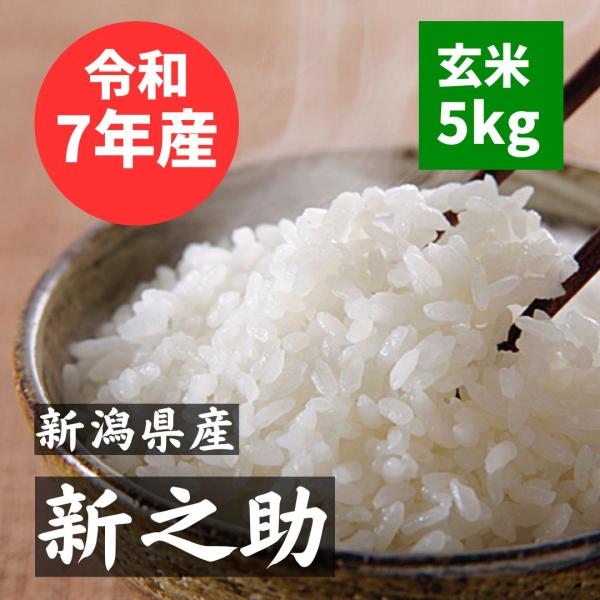 新之助 新潟県産  玄米5kg 令和7年産