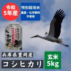 コウノトリ米 玄米 5kg 豊岡産 コシヒカリ 農薬不使用 化学肥料不使用 令和5年産 コウノトリ育むお米　兵庫の米