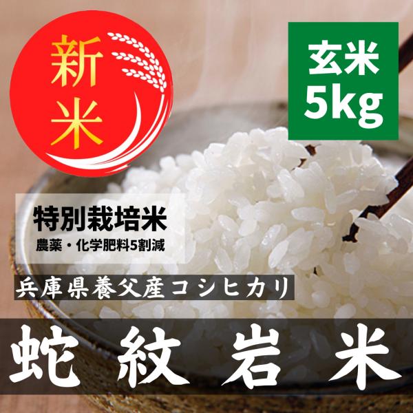 令和7年 蛇紋岩米 コシヒカリ 兵庫県 養父市  玄米5kg 甘みの強い米