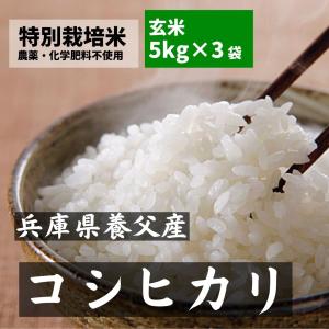 コシヒカリ 玄米 5kg×3（15kg） 兵庫 養父市  無農薬玄米 農薬不使用 化学肥料不使用 特別栽培米｜riceshop