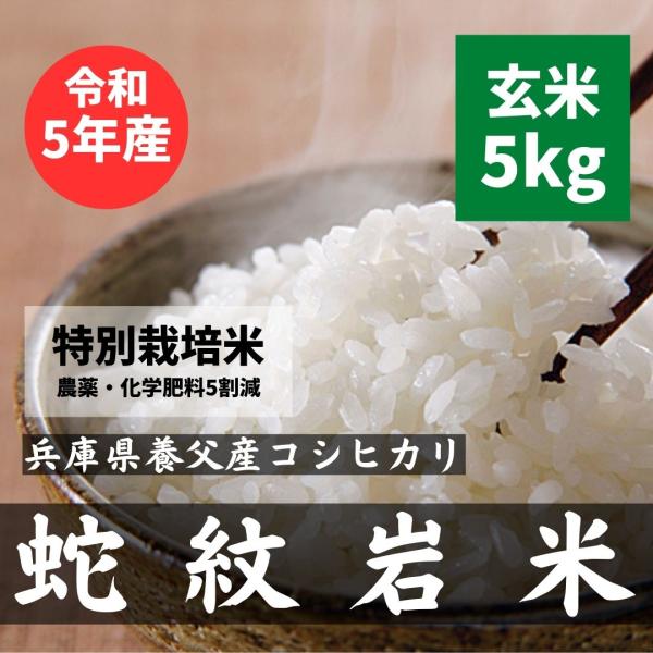 令和5年 蛇紋岩米 コシヒカリ 兵庫県 養父市  玄米5kg×2（10kg） 甘みの強い米