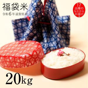 福袋米 白米 玄米 20kg 令和6年 滋賀県産 米 お米 送料無料 1品種でのお届けとなります 100