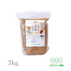 （水本美樹さま専用）新米ひとめぼれ玄米10キロ×2 令和６年産 水本美樹さま専用）新米ひとめぼれ玄米10キロ×2 令和6年産