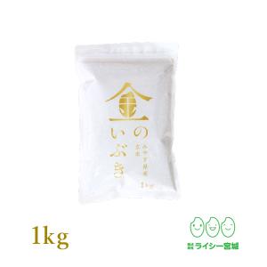 新米 高性能玄米 金のいぶき 1kg お試し 29年産 宮城...
