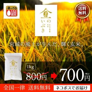 高性能玄米 金のいぶき 1kg お試し 28年産 宮城県産 真空圧縮パック ネコポス