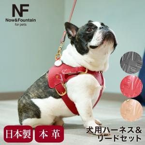 グッチ　未使用　ハーネス　犬用　Sサイズ GUCCI（グッチ） 新古未使用展示品 犬用 ハーネス 692965 表記サイズ