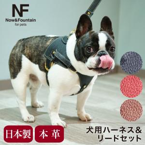 エヌアンドエフ ペット ハーネス＆リードセット 小型犬 ハーネス ボディベルト リード レザー 本革 日本製 N＆F for pets TYPE-A ナチュラル｜richard