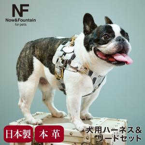 エヌアンドエフ ペット ハーネス＆リードセット 小型犬 ハーネス ボディベルト リード レザー 本革 日本製 N＆F for pets TYPE-A ジュエリータイル｜richard