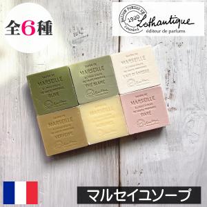 新ベジュレマニア スヴェコールジェル （700g）ボディマッサージ