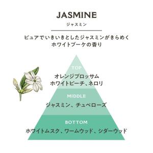 パニエデサンス アブソリュート リキッドマルセ...の詳細画像2