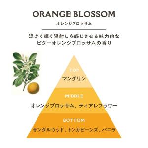 パニエデサンス アブソリュート リキッドマルセ...の詳細画像3