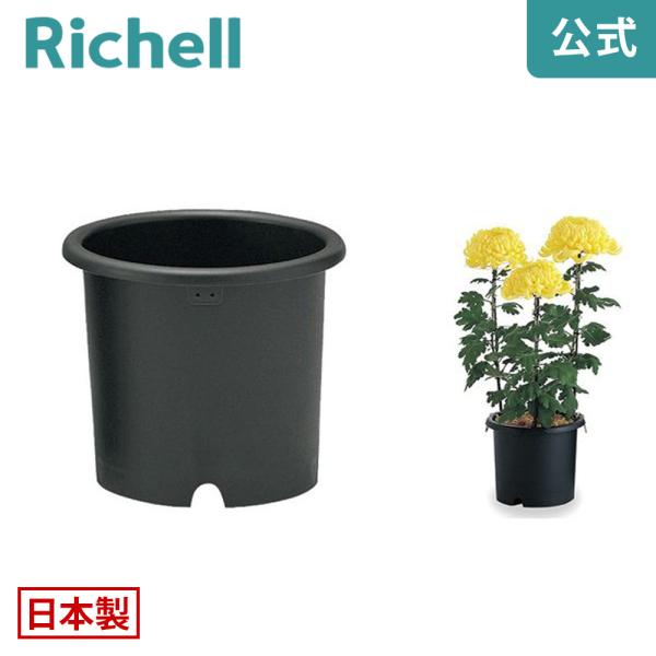 菊鉢 5号 071951 リッチェル Richell 公式ショップ