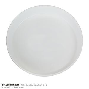 浅皿 3号 077431 リッチェル Rich...の詳細画像2