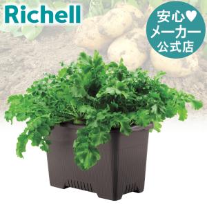 菜園上手 ジャンボ 65型 プランター 植木 鉢 菜園 大型 深さ 30cm おしゃれ 屋外 家庭 プラスチック  リッチェル  公式